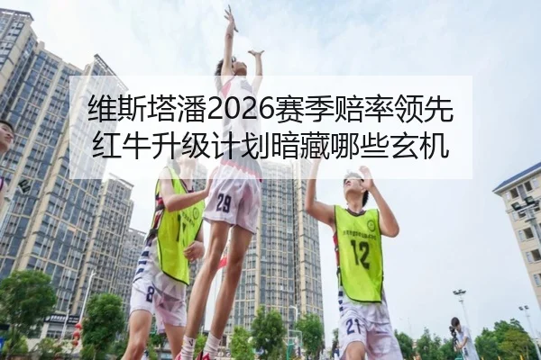 维斯塔潘2026赛季赔率领先 红牛升级计划暗藏哪些玄机